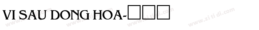 VI Sau Dong Hoa字体转换